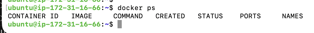 docker ps command execution